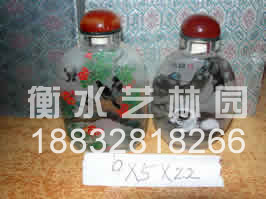 �ڻ����̺�