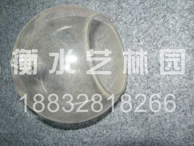 �ڻ�ʥ����