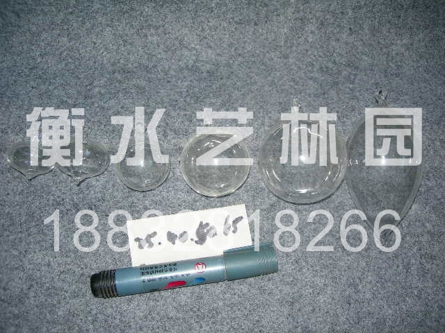 �ڻ�ʥ����