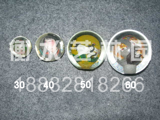 �ڻ�ʥ����