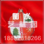 SDGJ0847(ʥ���Ҽ�)