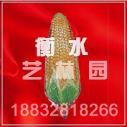 SDGJ0846(ʥ���Ҽ�)