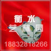 SDGJ0837(ʥ���Ҽ�)