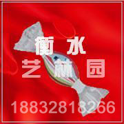 SDGJ0828(ʥ���Ҽ�)