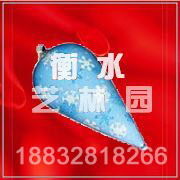 SDGJ0822(ʥ���Ҽ�)