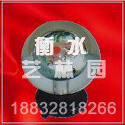 SDGJ0855(ʥ���Ҽ�)